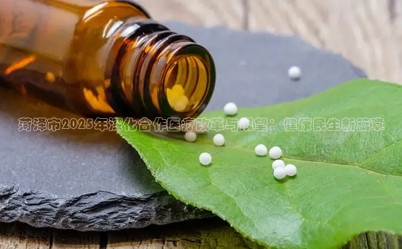 杏盛注册登录官网